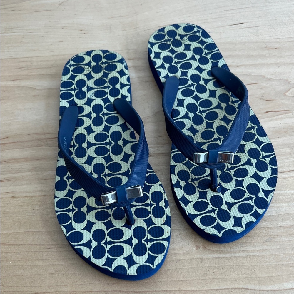 Coach Blue Patterned Women's Flip Flops